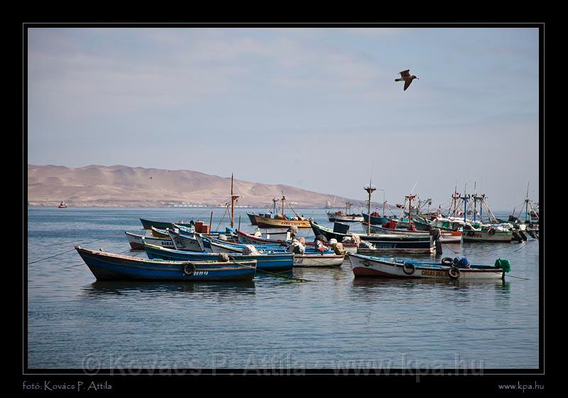 Ballestas Islands 002.jpg